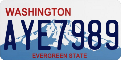 WA license plate AYE7989