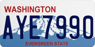 WA license plate AYE7990