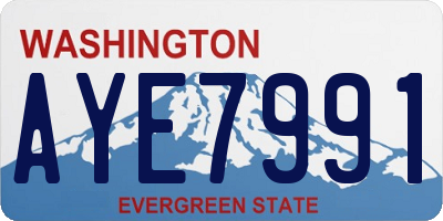 WA license plate AYE7991