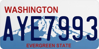 WA license plate AYE7993