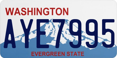 WA license plate AYE7995