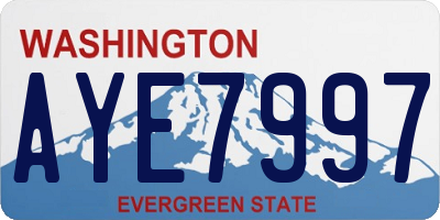 WA license plate AYE7997