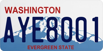 WA license plate AYE8001