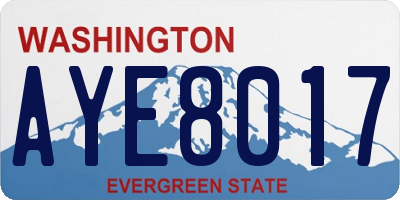 WA license plate AYE8017