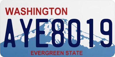 WA license plate AYE8019