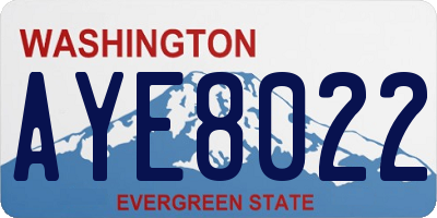 WA license plate AYE8022