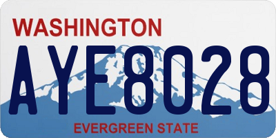 WA license plate AYE8028