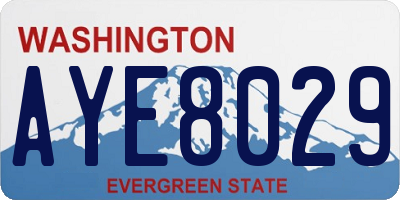 WA license plate AYE8029