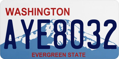 WA license plate AYE8032