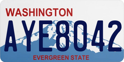 WA license plate AYE8042