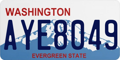 WA license plate AYE8049