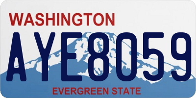 WA license plate AYE8059