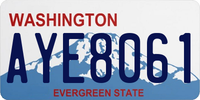WA license plate AYE8061