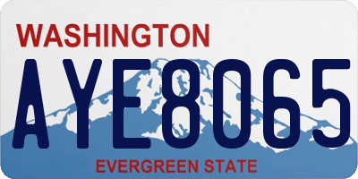WA license plate AYE8065