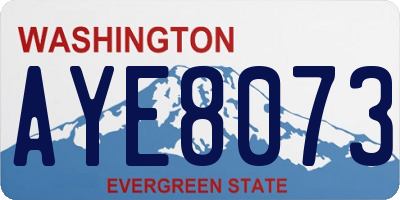 WA license plate AYE8073