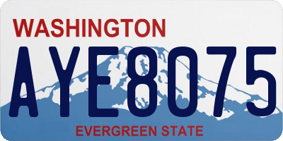 WA license plate AYE8075