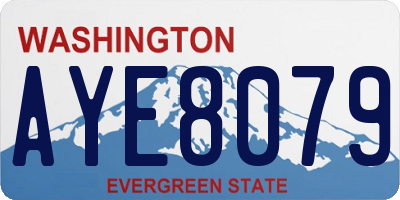 WA license plate AYE8079