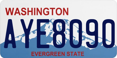 WA license plate AYE8090