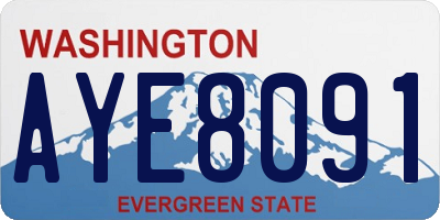 WA license plate AYE8091
