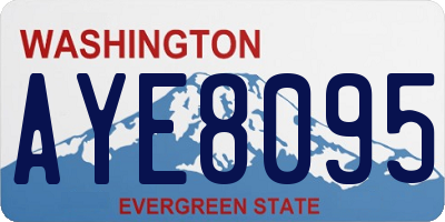 WA license plate AYE8095