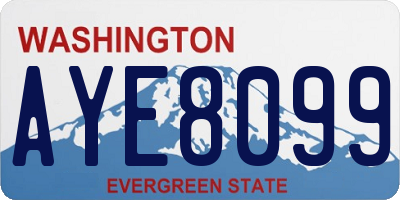 WA license plate AYE8099