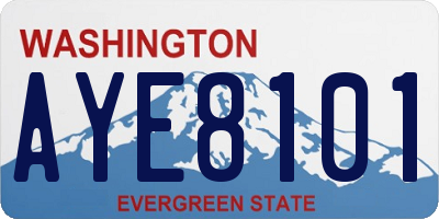 WA license plate AYE8101