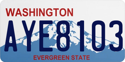 WA license plate AYE8103