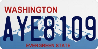 WA license plate AYE8109