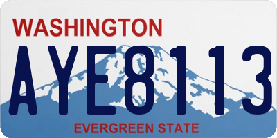 WA license plate AYE8113