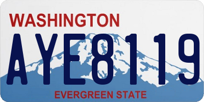 WA license plate AYE8119
