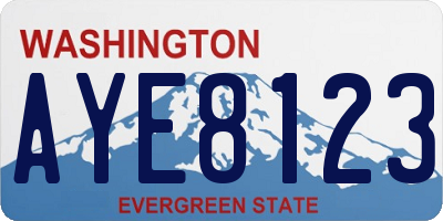 WA license plate AYE8123