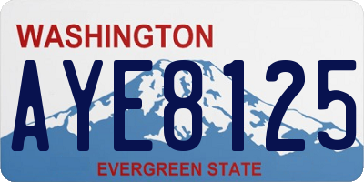 WA license plate AYE8125