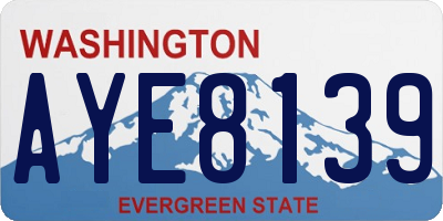 WA license plate AYE8139