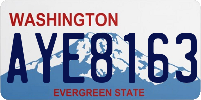WA license plate AYE8163
