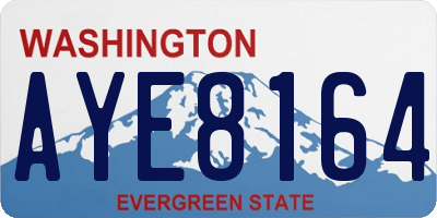 WA license plate AYE8164