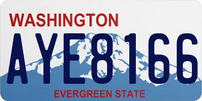 WA license plate AYE8166