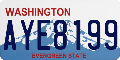 WA license plate AYE8199