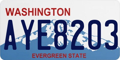 WA license plate AYE8203