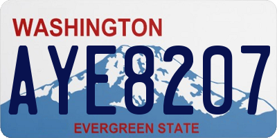 WA license plate AYE8207