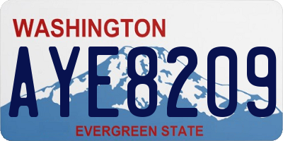 WA license plate AYE8209