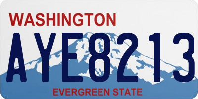 WA license plate AYE8213