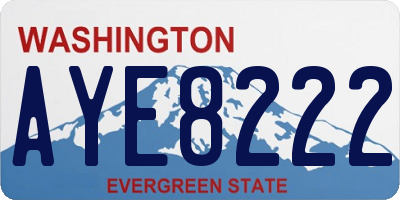 WA license plate AYE8222