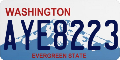 WA license plate AYE8223