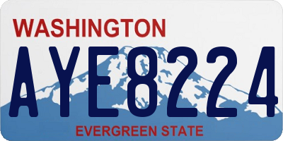 WA license plate AYE8224