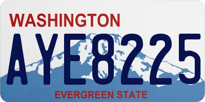 WA license plate AYE8225