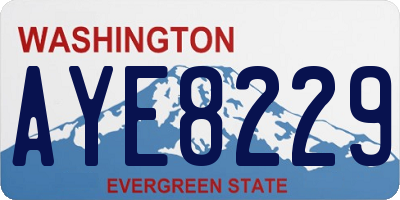 WA license plate AYE8229