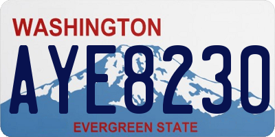 WA license plate AYE8230