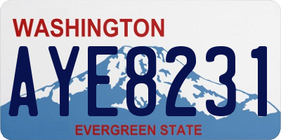WA license plate AYE8231