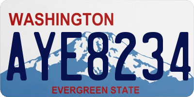 WA license plate AYE8234