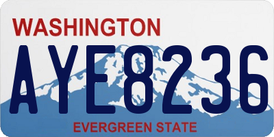 WA license plate AYE8236